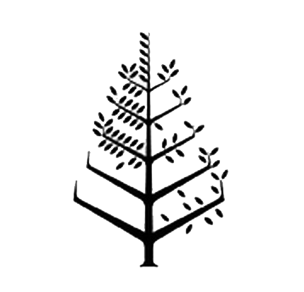 迪拜國際金融中心四季酒店 Logo